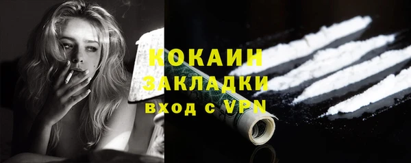 соль ск Артём