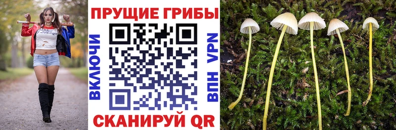 Галлюциногенные грибы мухоморы  купить наркоту  Дятьково 
