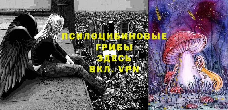 Галлюциногенные грибы Psilocybine cubensis  это состав  Дятьково 