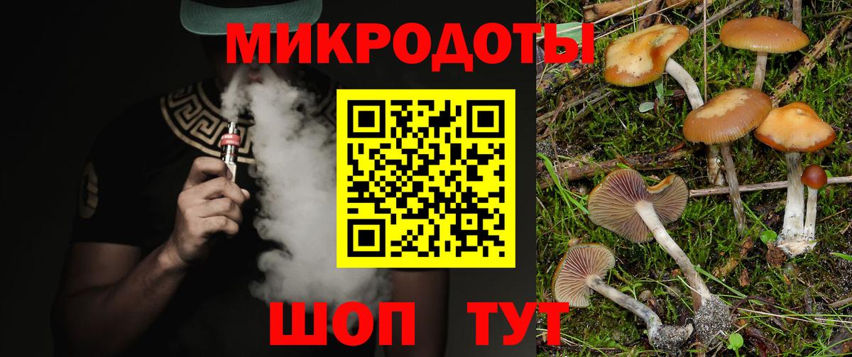 Галлюциногенные грибы GOLDEN TEACHER Дятьково